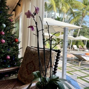 Southernmost Beach Resort - Hotels Near Me - Key West, Florida