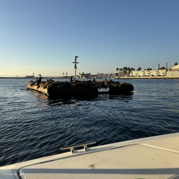 Redondo Boat Rentals - Boating Near Me - Redondo Beach, California Redondo Boat Rentals - Boating Near Me - Redondo Beach, California