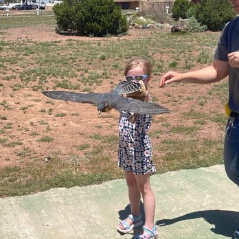 RAPTOR RANCH - Updated August 2024 - 194 Photos & 54 Reviews - 332 S ...