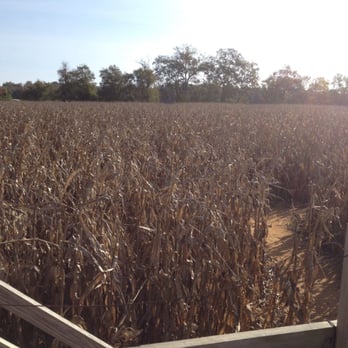 Jumbo's Pumpkin Patch - Observation tower didn't help much! - Pumpkin Patches Near Me - Middletown, Maryland