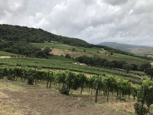 Altarocca Wine Resort by null