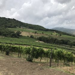 Altarocca Wine Resort