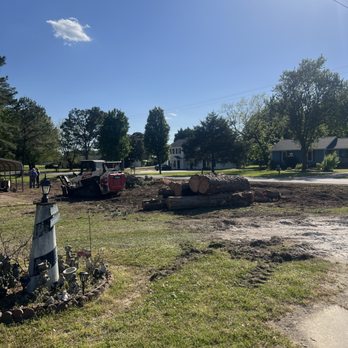 Advanced Tree Pros - Tree Services Near Me