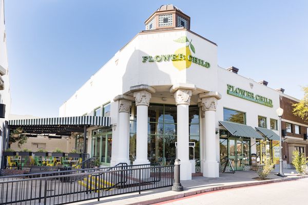 Flower Child by null