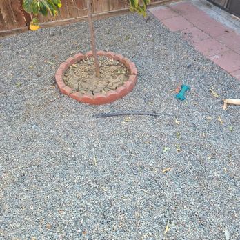Lawns Hedges Weeds - Landscaping Near Me - Fairfield, California Lawns Hedges Weeds - Landscaping Near Me - Fairfield, California