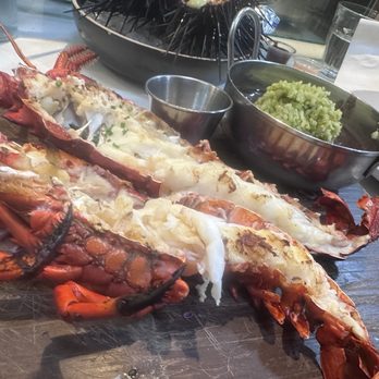 Holbox - Langosta al Carbon (Maine Lobster, MP) - Latin American Near Me - Los Angeles, California Holbox - Langosta al Carbon (Maine Lobster, MP) - Latin American Near Me - Los Angeles, California