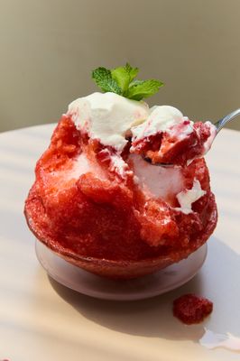 TONCHIN BROOKLYN by null