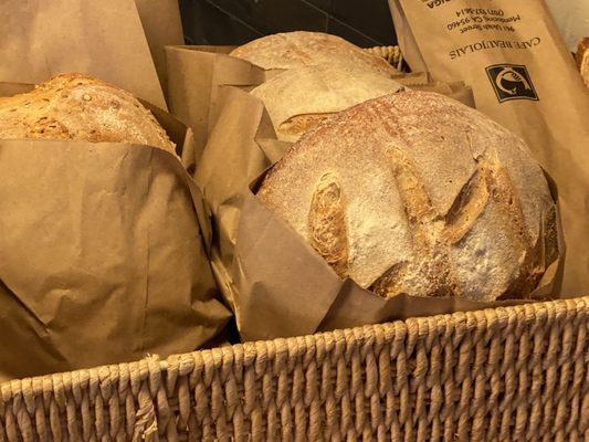 The Waiting Room by null