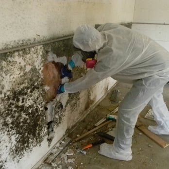 Orange Flood - Damage Restoration Near Me - Washington, DC, District of Columbia