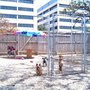 Photo of Northport Boarding Kennel