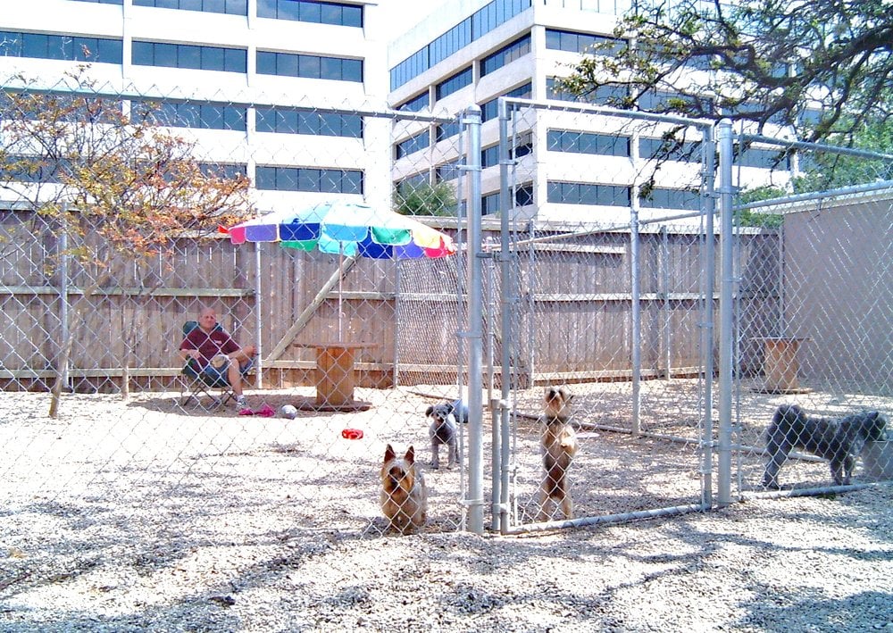 Northport Boarding Kennel - pet boarding facility in San Antonio, TX