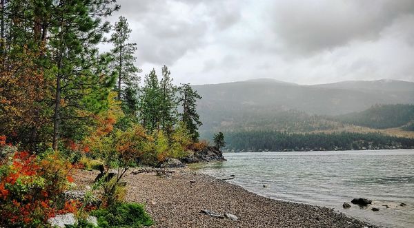 Kalamalka Lake Provincial Park by null