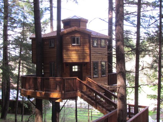 Vertical Horizons Treehouse Paradise by null