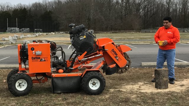 Slide of Fernando Landscaping