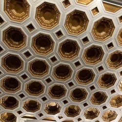 DANK Haus German American Cultural Center - Lovely ceiling