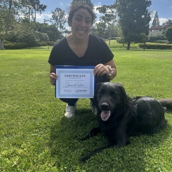 Peace Pups Dog Training - Pet Training Near Me Peace Pups Dog Training - Pet Training Near Me