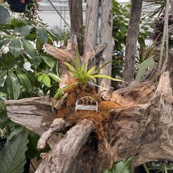 Adams Fairacre Market - Indoor greenhouse