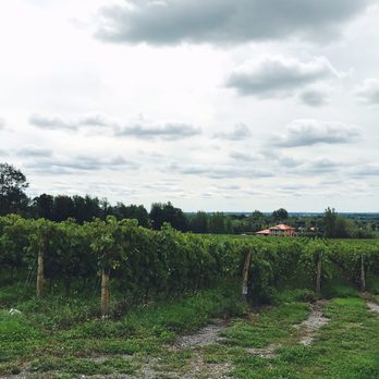 Domaine Cartier-Potelle - Cideries Near Me - Rougemont, Quebec Domaine Cartier-Potelle - Cideries Near Me - Rougemont, Quebec