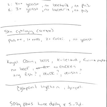 Rancho Bernardo Veterinary Clinic - Microscopy testing: $65 for the ear and $66 for the skin scraping, but no proper examination was performed. - Veterinarians Near Me - San Diego, California
