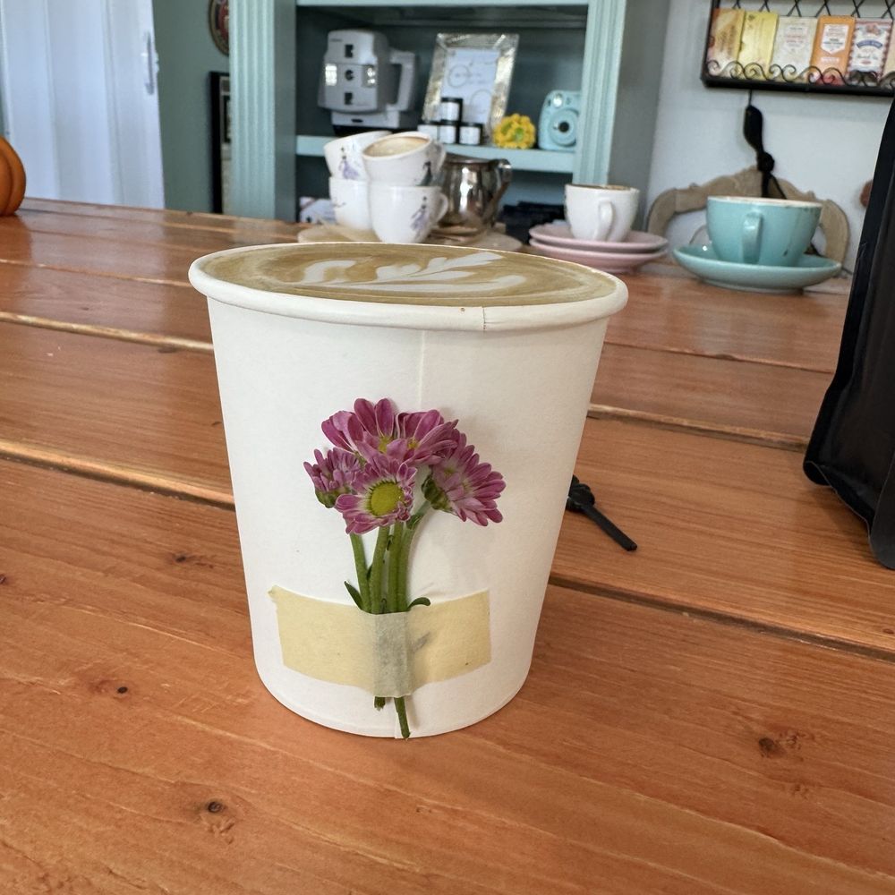 Feffys Cafe - Coffee & Tea Near Me - Coral Springs, Florida Feffys Cafe - Coffee & Tea Near Me - Coral Springs, Florida