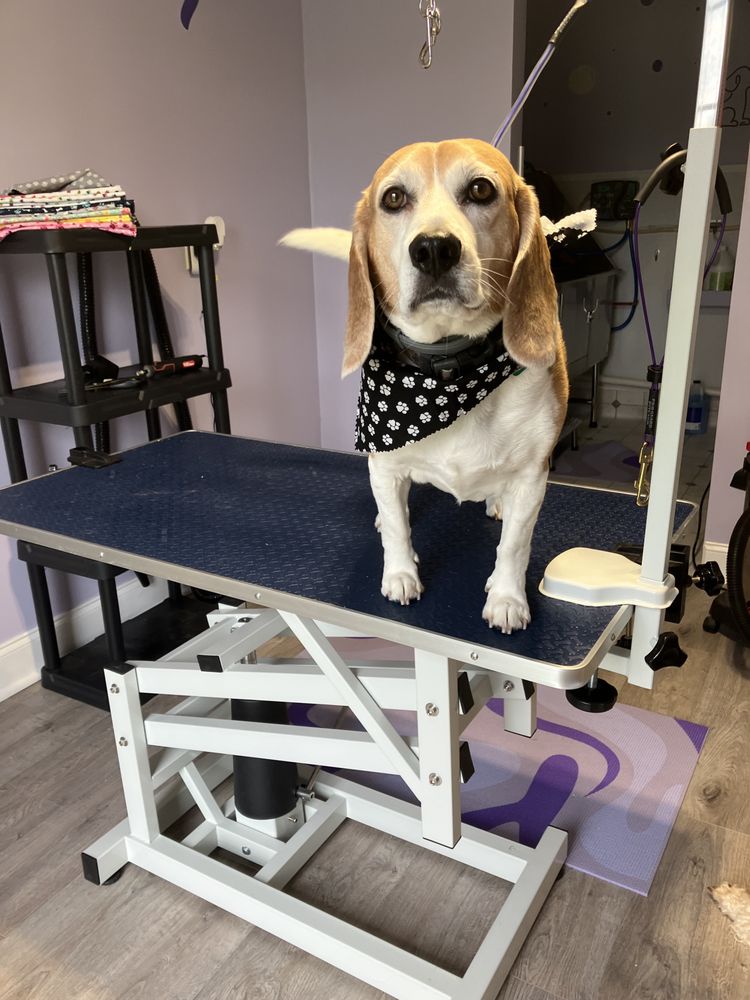 CORI’S CUDDLES AND BUBBLES PET SALON Updated October 2024 Ludowici