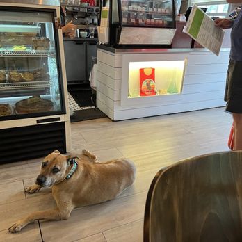 Frenchies Cafe - Gaston! - French Near Me - Key West, Florida Frenchies Cafe - Gaston! - French Near Me - Key West, Florida