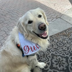 Stirling Wine - Hanging at Stirling. A nice place for us puppers. And the old man says the wine is great too!