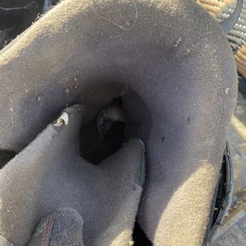 Riverside Mini Storage - This is a dead mouse inside my husbands snowboard boot, which is destroyed. All the inside got chewed out in both boots. - Self Storage Near Me - Anderson, California