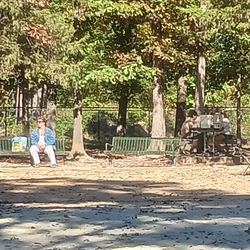 Piney Wood Dog Park - One of the seating areas