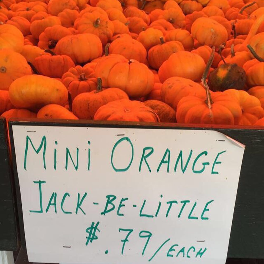 A. Casola Farms - Farmers Market Near Me - Holmdel, New Jersey A. Casola Farms - Farmers Market Near Me - Holmdel, New Jersey