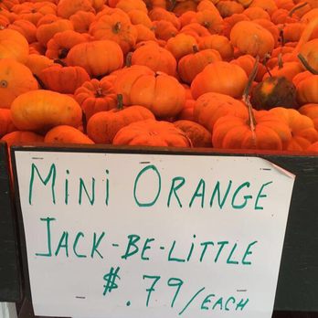 A. Casola Farms - Farmers Market Near Me - Holmdel, New Jersey