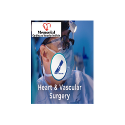 Memorial Cardiac & Vascular Institute - Memorial Cardiac & Vascular Institute