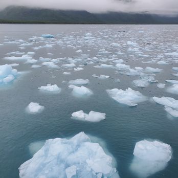 Kenai Fjords Tours - Boat Tours Near Me - Seward, Alaska