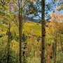 Photo of Outspire Hiking and Snowshoeing