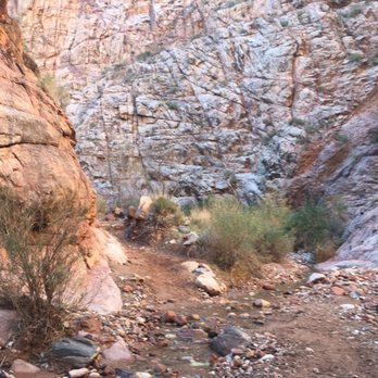 Bright Angel Trail - Hiking Near Me