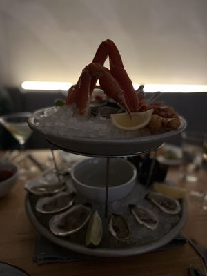 The Royal Tern by null The Royal Tern by null