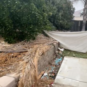 Trailstone Hardscaping - Before with all the figs fully grown and yard debris and trash everywhere - Junk Removal & Hauling Near Me Trailstone Hardscaping - Before with all the figs fully grown and yard debris and trash everywhere - Junk Removal & Hauling Near Me