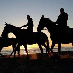 Equestrian Italy - Adventure packages, tours in the Nature and riding trails in Rome