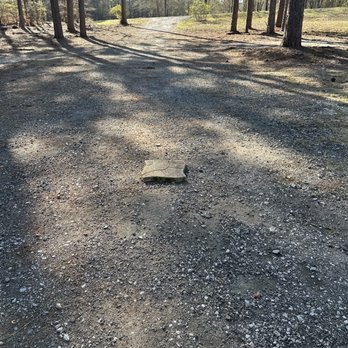Elite Lawn & Landscape - Paver - Lawn Services Near Me - Lexington, South Carolina Elite Lawn & Landscape - Paver - Lawn Services Near Me - Lexington, South Carolina