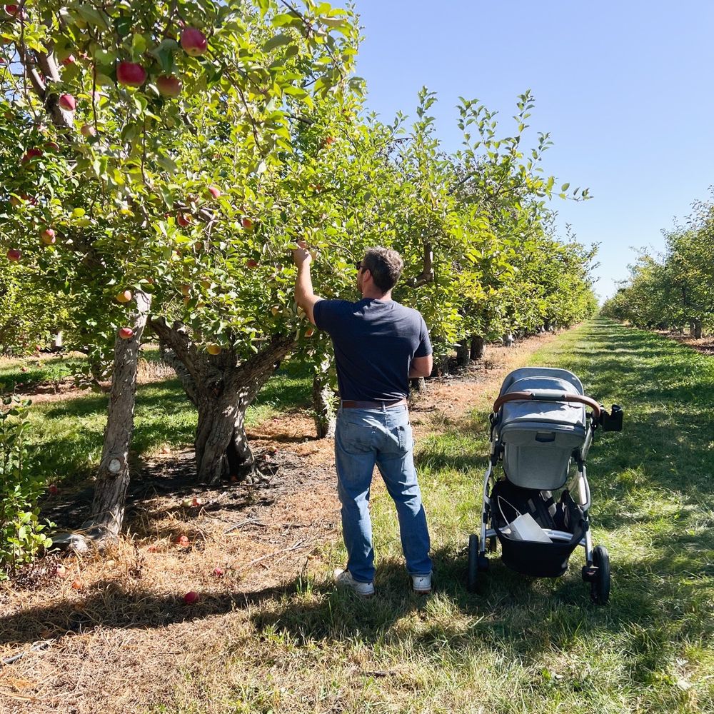 Minnesota Harvest Apple Orchard - Pick Your Own Farms Near Me - Jordan, Minnesota