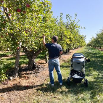 Minnesota Harvest Apple Orchard - Pick Your Own Farms Near Me - Jordan, Minnesota