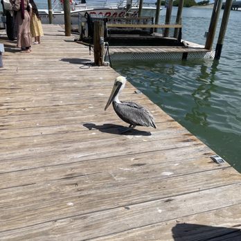 Hungry Tarpon Restaurant - Seafood Near Me - Islamorada, Florida