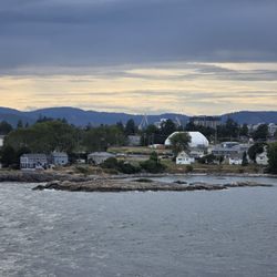 Victoria BC Cruise Ship Dock - A view of houses along the shore