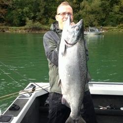 Silversides Fishing Adventures - Big King salmon are available from mid August to early October. Book your Fraser river salmon charter today
