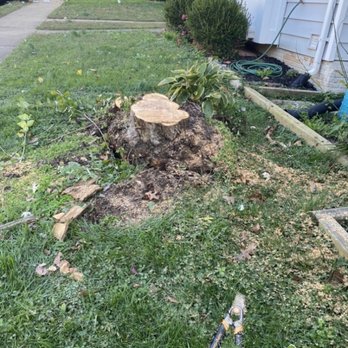 Connors Tree Service - Tree Services Near Me - Woodbridge, Virginia