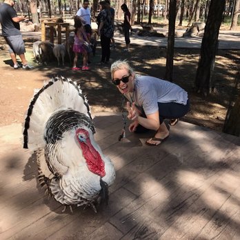 Bearizona - Petting zoo - Zoos Near Me - Williams, Arizona Bearizona - Petting zoo - Zoos Near Me - Williams, Arizona