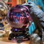 Photo of Oddities For Sale