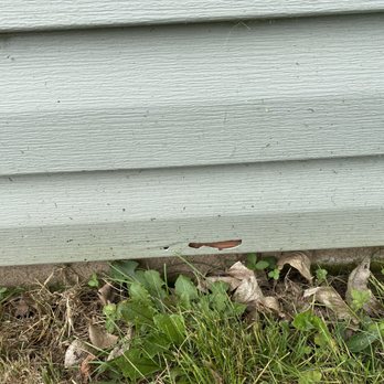 Terrific Turf - a close up of a house's siding - Landscaping Near Me - Langhorne, Pennsylvania Terrific Turf - a close up of a house's siding - Landscaping Near Me - Langhorne, Pennsylvania
