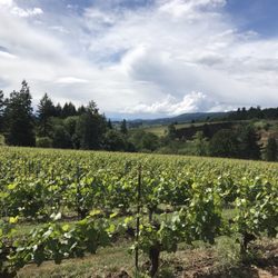 Oregon Select Wine Tours - Archer Vineyard.
