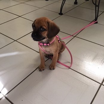 Cranston Animal Hospital - Veterinarians Near Me - Cranston, Rhode Island Cranston Animal Hospital - Veterinarians Near Me - Cranston, Rhode Island